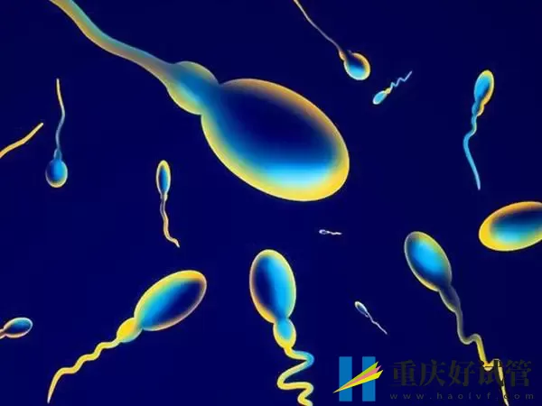 结扎能不能做试管婴儿(图1) 结扎能不能做试管婴儿(图1)