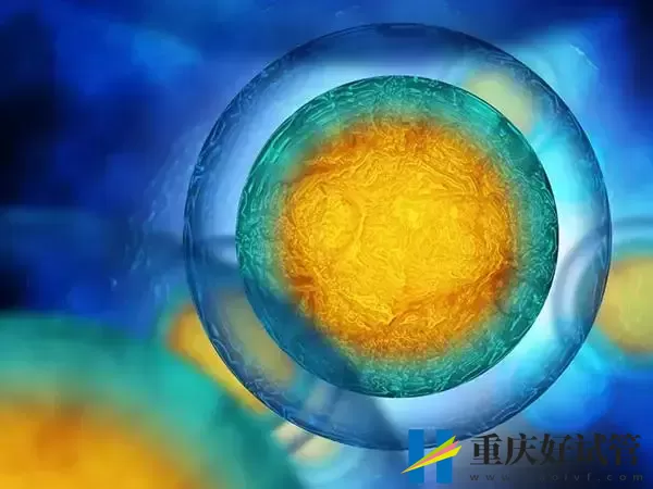 没有卵泡能不能做试管婴儿(图1) 没有卵泡能不能做试管婴儿(图1)