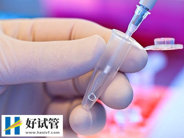 试管胚胎移植过程是怎么样的(图1) 试管胚胎移植过程是怎么样的(图1)