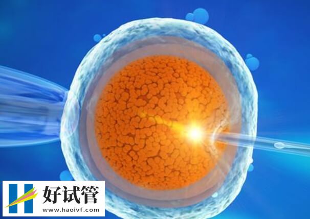 重庆哪家医院做三代试管婴儿口碑好?大概需要多少钱?(图1) 重庆哪家医院做三代试管婴儿口碑好?大概需要多少钱?(图1)