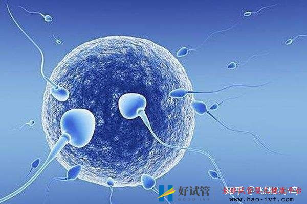 第三代试管龙凤胎需要多少钱(图3) 第三代试管龙凤胎需要多少钱(图3)