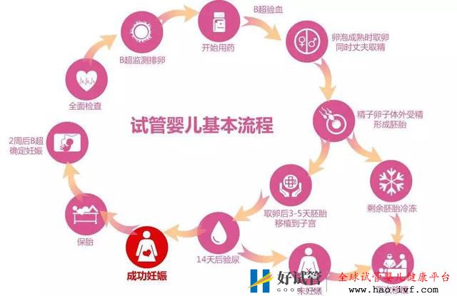 俄罗斯试管婴儿的详细过程是怎样的,6个步骤解释清楚(图1) 俄罗斯试管婴儿的详细过程是怎样的,6个步骤解释清楚(图1)