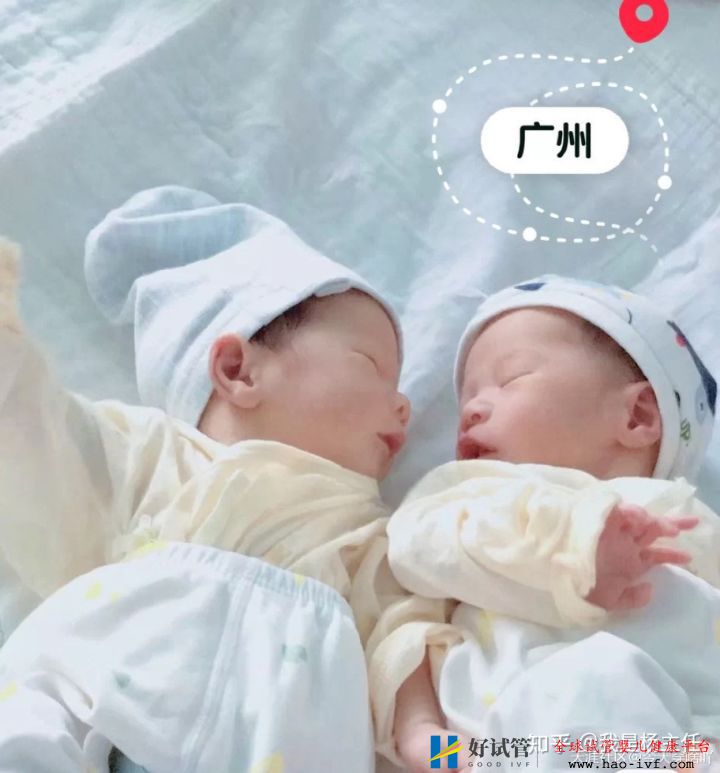试管婴儿双胞胎费用和单胎一样吗(图2) 试管婴儿双胞胎费用和单胎一样吗(图2)