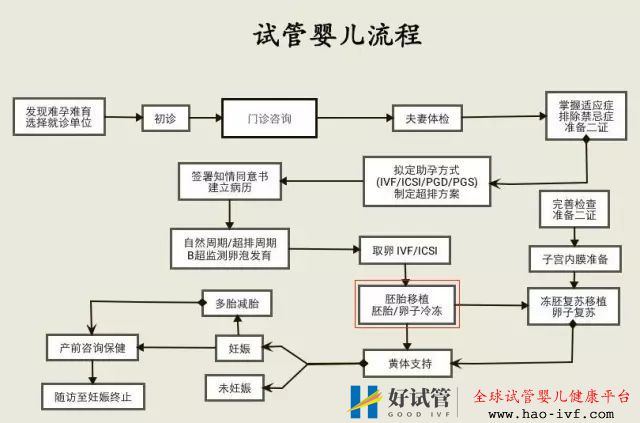 【试管流程·移植】胚胎移植流程及注意事项(图1) 【试管流程·移植】胚胎移植流程及注意事项(图1)