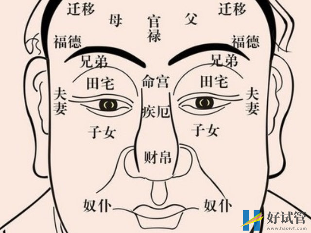 面相看生男生女图解,女人必生男孩的4种面相一览(图1) 通过面相可以看生男生女